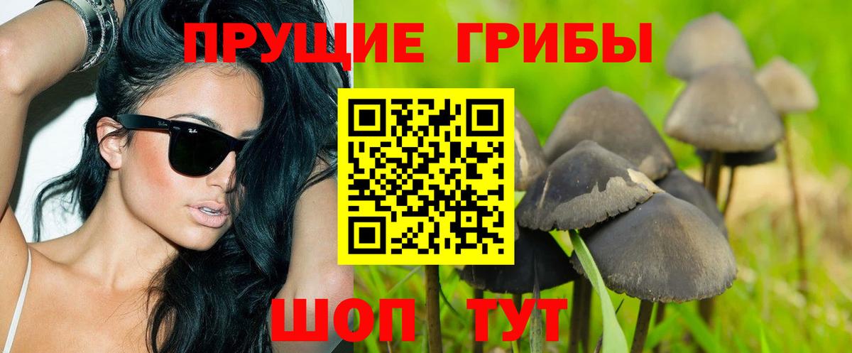 Ярославль  Галлюциногенные грибы GOLDEN TEACHER  Вход с VPN 